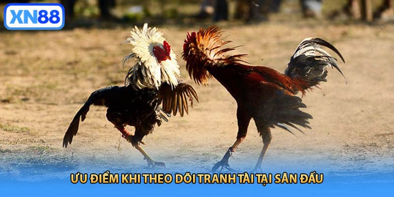 Ưu điểm khi theo dõi tranh tài tại sân đấu